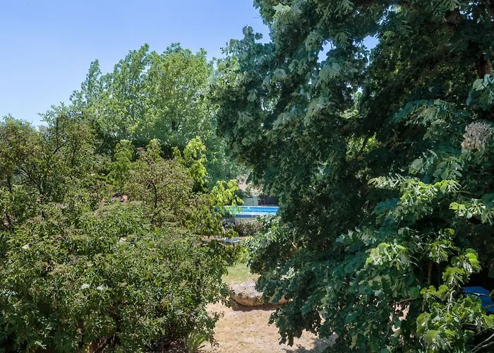 Le Jardin De Timothee By Interhome